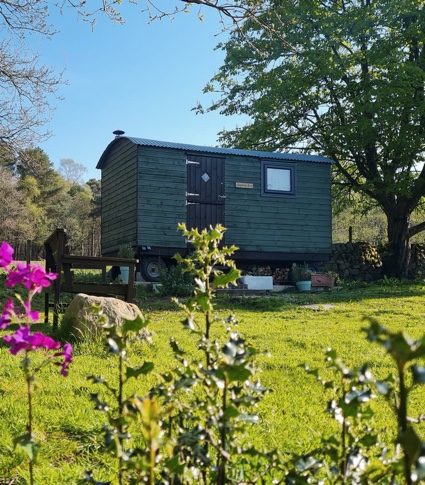 Photograph of the exterior of the shepherds rest hut behind flowers