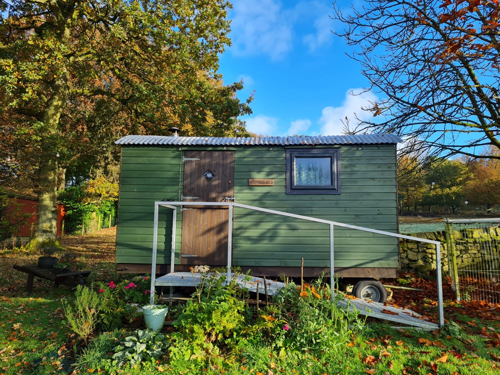 Side view of shepherds rest holistic therapy green hut behind a tree